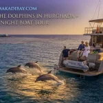 VIP Elite Dolphin Excursion & Swimming with Dolphins