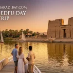 Aswan & Edfu Day Private Trip