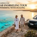 Abu Dabbab Snorkeling Tour – Turtles & Swimming with Dugong