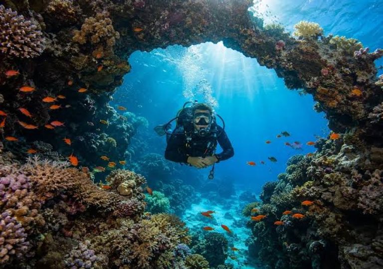 Diving Course from Makadi Bay diver swimming through a coral reef arch in the Red Sea