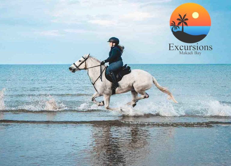 Horse Sunset Ride from Makadi along the beach